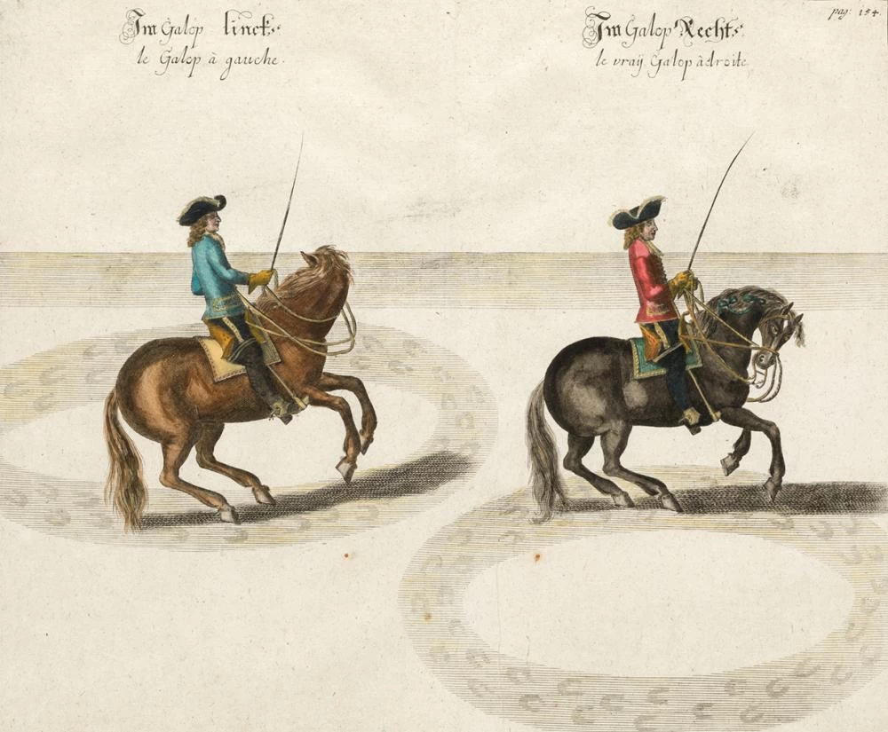 Il metodo e la nuova invenzione dei cavalli da dressage, di William Cavendish